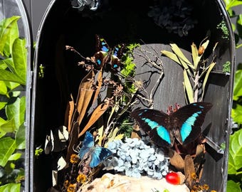 Even In Arcadia Butterfly Cloche