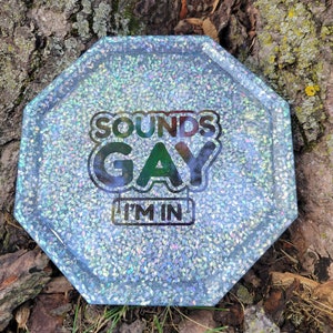 Pride dekoratives Tablett. Queer. Von Hand gegossenes Harz. Holographischer Glitzer. Schmucktablett. LGBTQ. Einzigartiges Geschenk. Regal Dekor. Tisch Dekor.