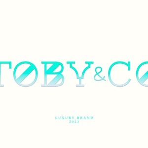 Puede incluir: Un logotipo turquesa y blanco con el texto "TOBY & CO" y las palabras "LUXURY BRAND 2023" debajo.
