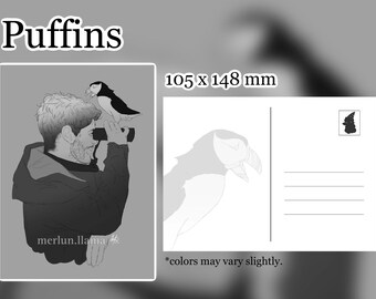 Puffins - Postcard