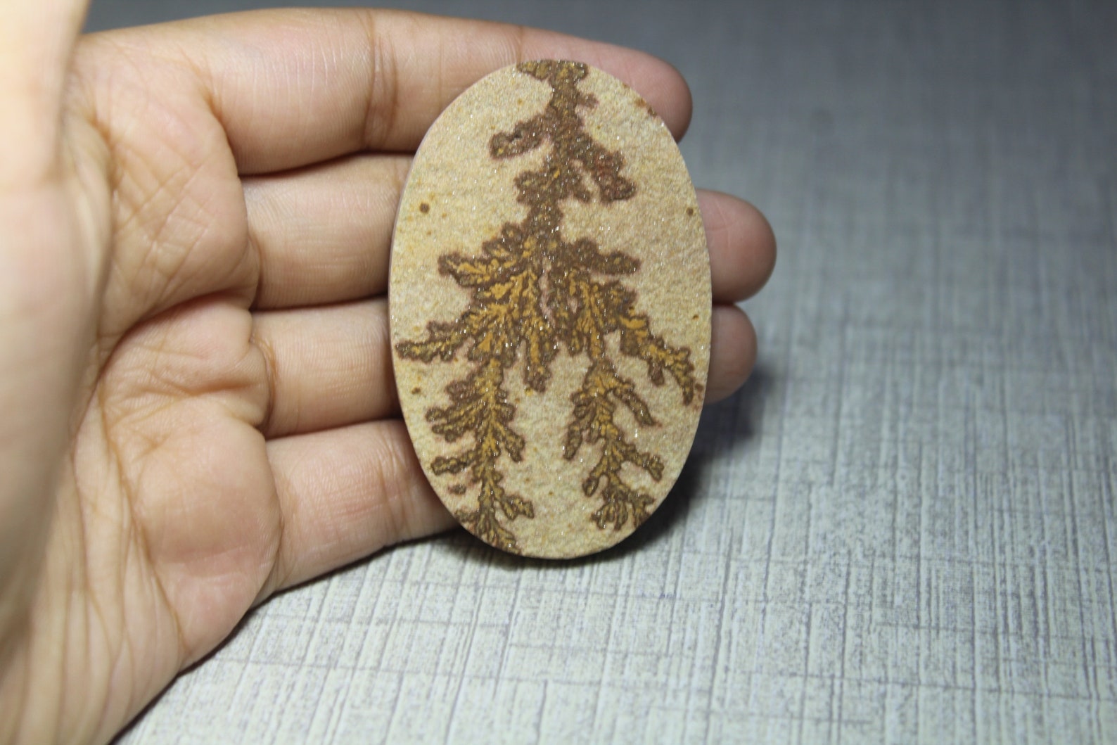psilomelane dendrite psilomelane dendrite