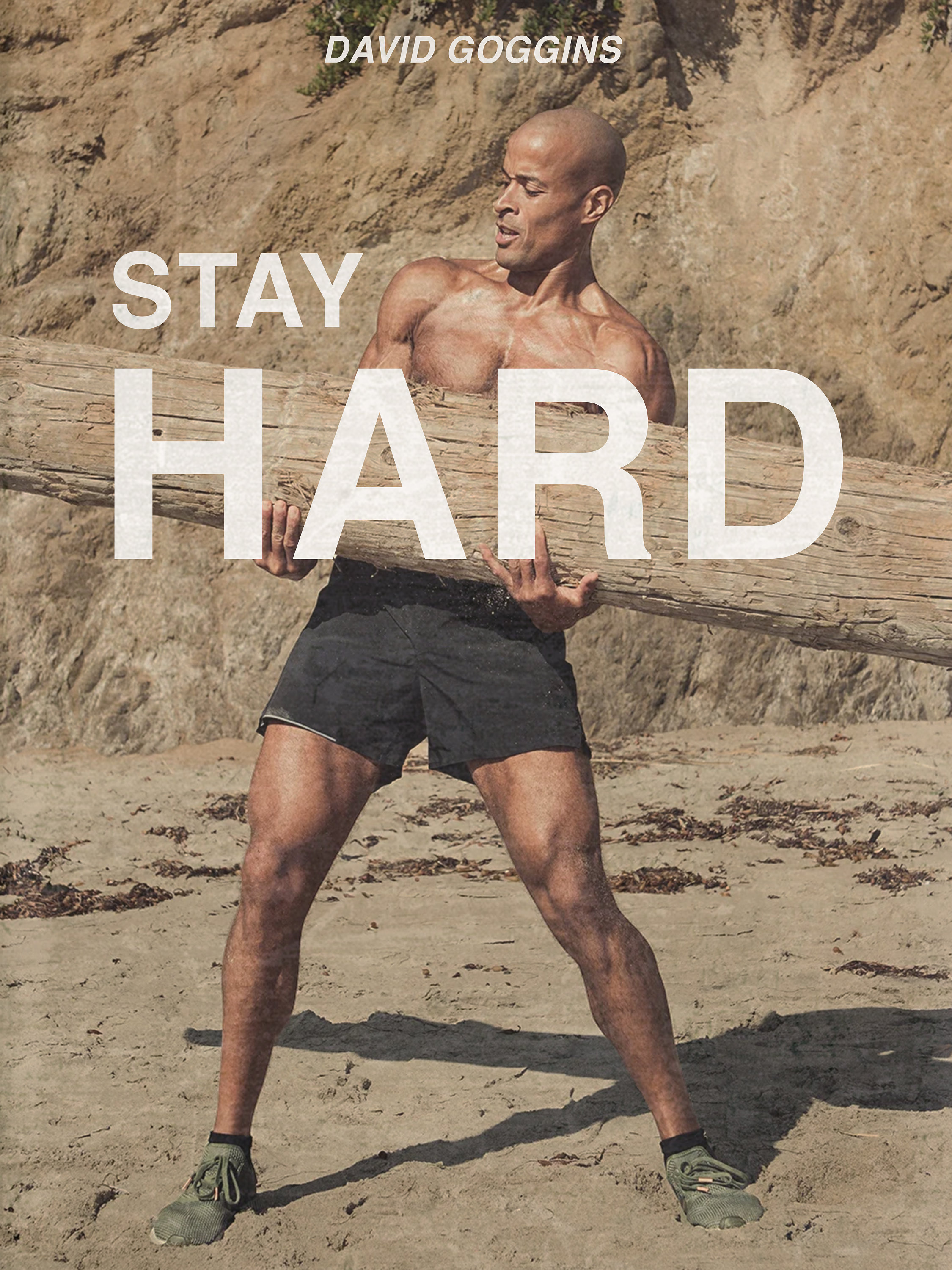David Goggins Stay Hard Motivational Poster Room Decor Etsy