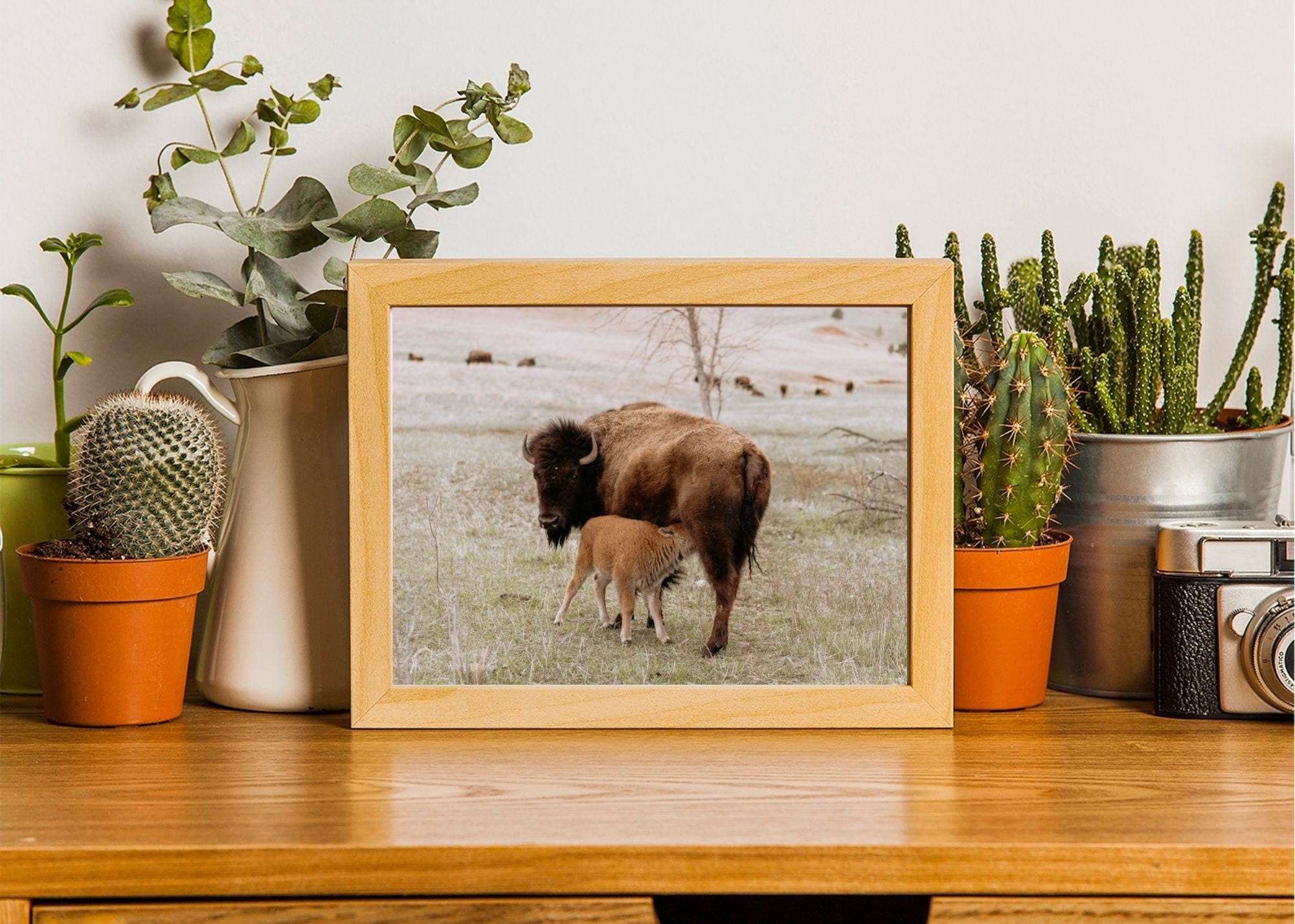 Bison & Baby Wall Art / Buffalo Nursing Digital Print / American Bison