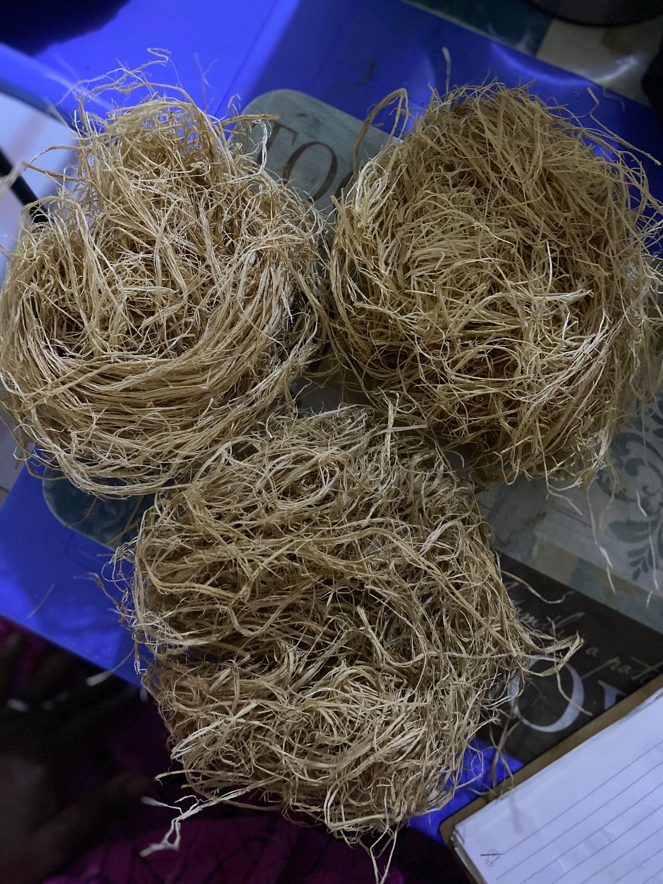 Natural African Bath Sponge Etsy