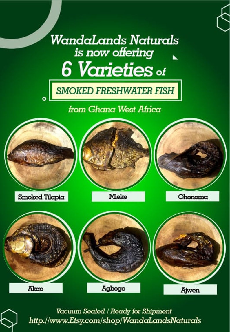 6 Types Smoked Freshwater Fish From Ghana Etsy