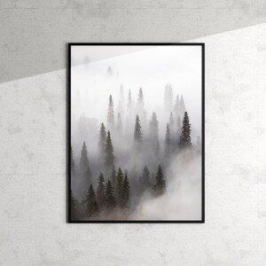 Stampa artistica Finlandia / Immagine minimalista di foresta nebbiosa / Alberi nella nebbia / Paesaggio nordico / Fotografia naturalistica