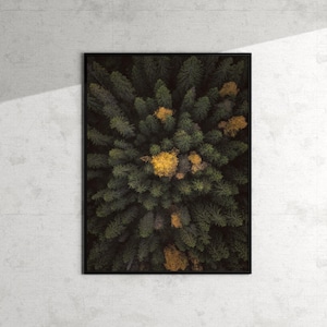 Stampa artistica Finlandia / Foresta dall'alto / Immagine di paesaggio nordico / Fotografia naturalistica / Foto minimalista / Boschi aerei