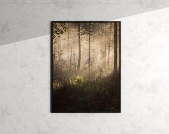 Fine Art Print Finnland | Morgendämmerung, Kuusamo | Nebliges Waldbild | Bäume im Nebel | Nordische Landschaft | Naturfotografie | Waldland