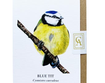 Blue Tit Greeting Card