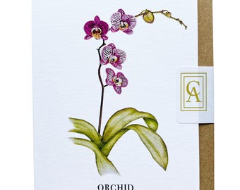 Pink Orchid Greeting Card