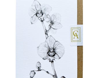 Moth Orchid Greeting Card