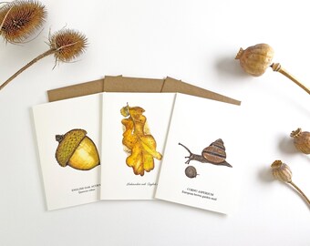 Autumn Greeting Card Set of 4
