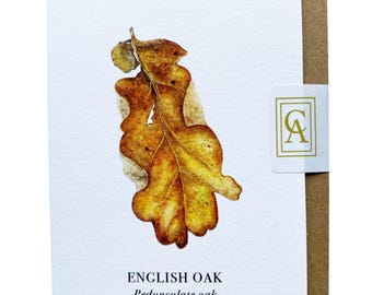 English Oak Leaf Greeting Card