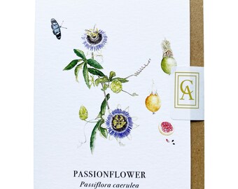 Passionflower Greeting Card