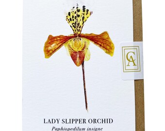 Slipper Orchid Greeting Card