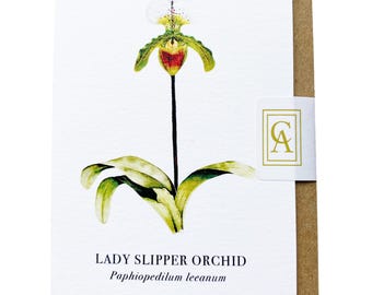 Orchid Greeting Card