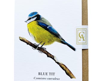 Blue Tit Greeting Card