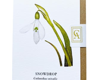 Snowdrop Greeting Card