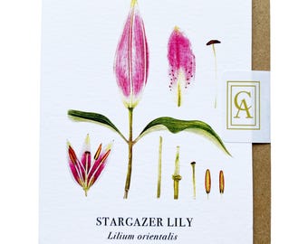 Lily Greeting Card