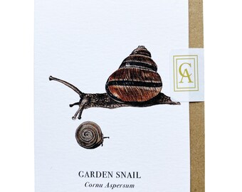 Snail Greeting Card