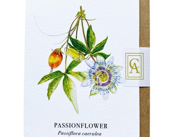 Passionflower Greeting Card