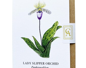Purple Orchid Greeting Card