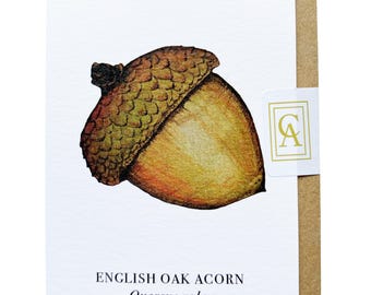 Acorn Greeting Card