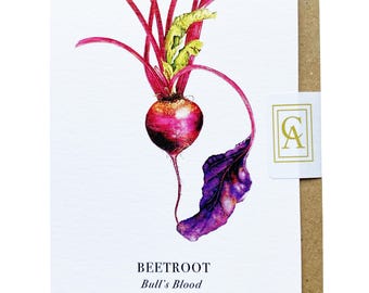 Beetroot Greeting Card