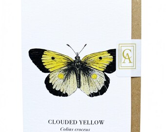 Clouded Yellow Butterfly Greeting Card