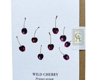 Cherries Greeting Card