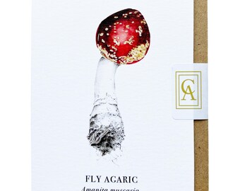 Fly Agaric Mushroom