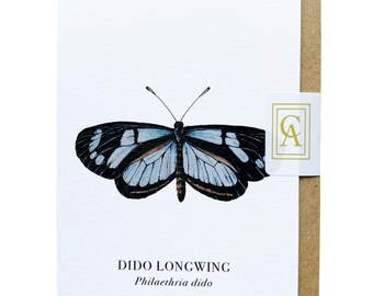 Dido Butterfly Greeting Card