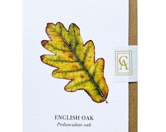 English Oak Leaf Greeting Card