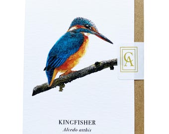 British Birds Greeting Cards Set of 4