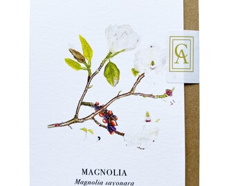 Magnolia Greeting Card