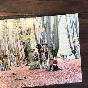 May include: A group of people standing in a forest with trees in the background. The people are wearing casual clothing and are looking at the camera. The forest is filled with fallen leaves.