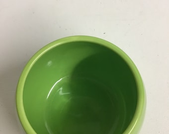 Rae Dunn Small Indoor Ceramic Planter