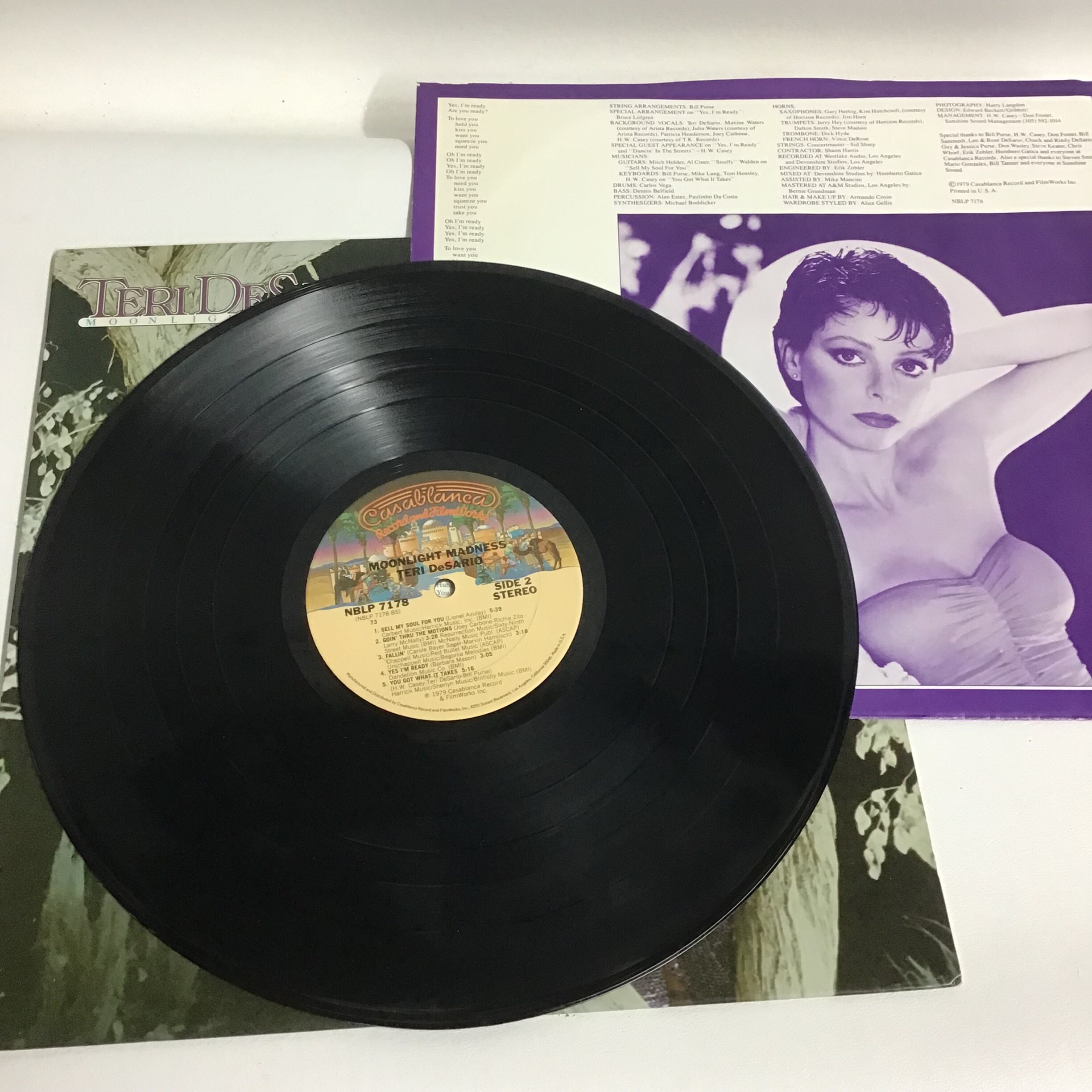 Teri Desario Vinyl Album Moonlight Madness - Etsy