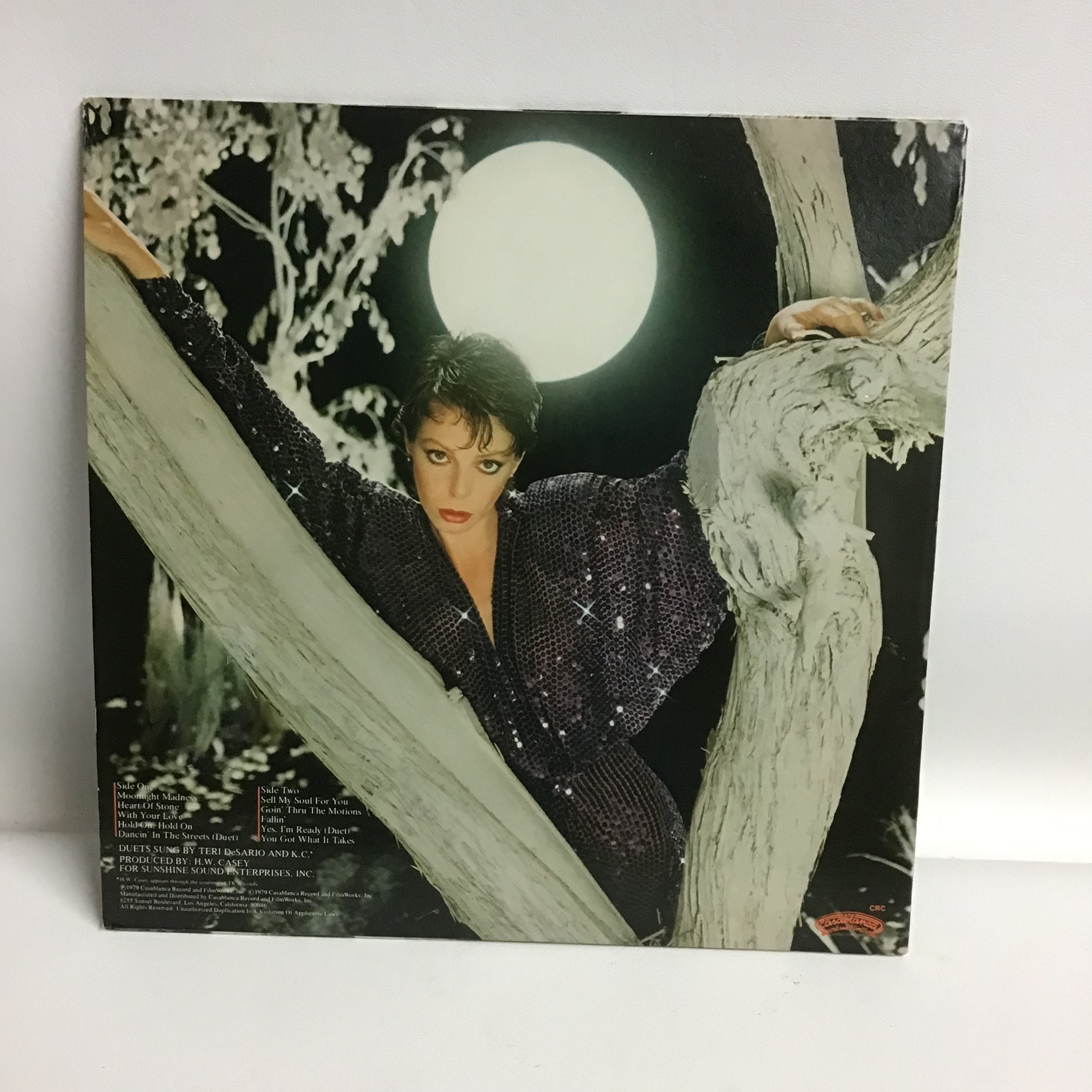 Teri Desario Vinyl Album Moonlight Madness - Etsy