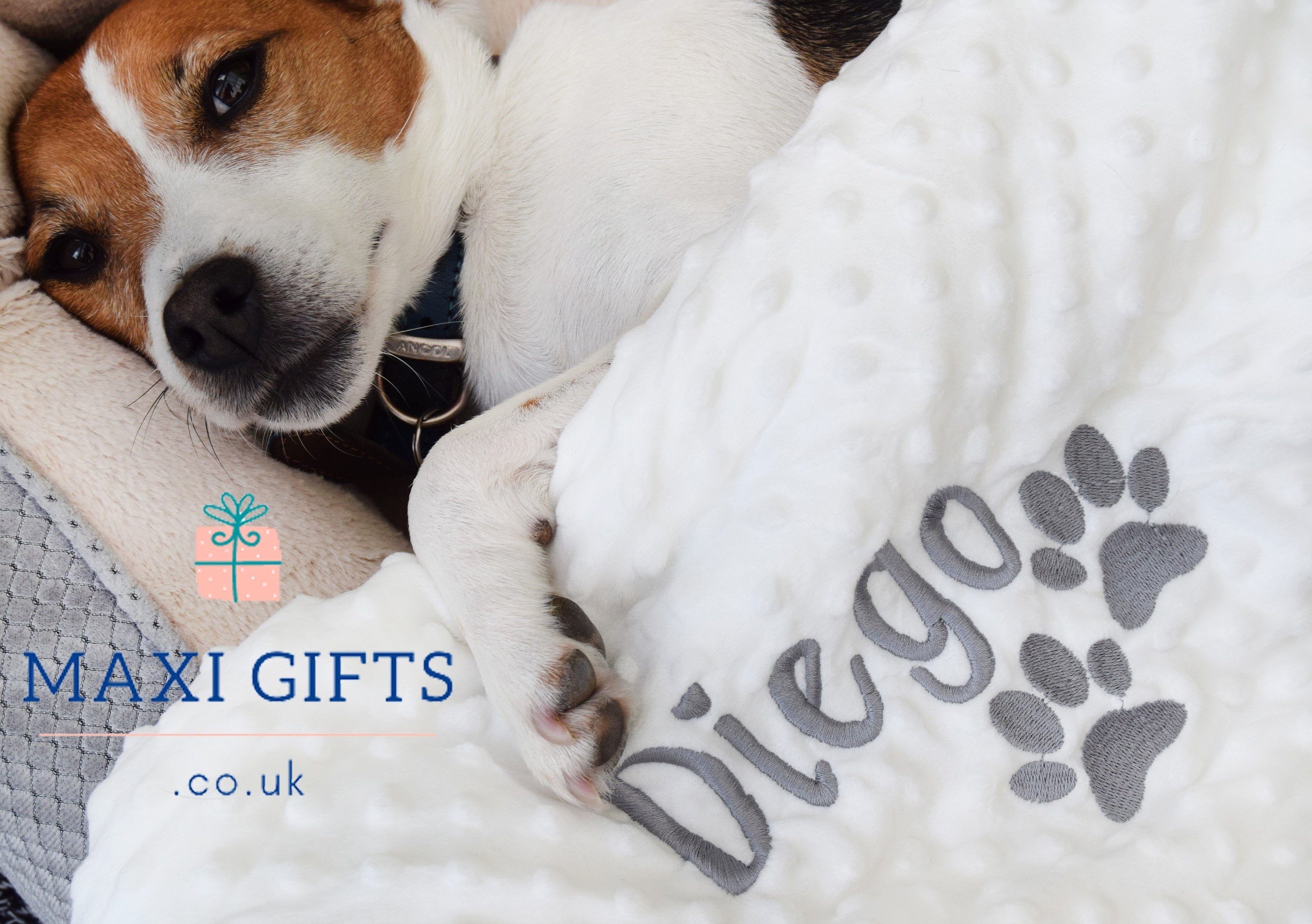 Why Do Dogs Paw At Blankets