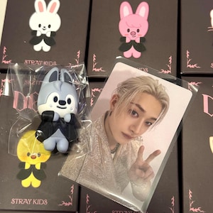May include: A grey wolf character figurine in a black suit inside a clear plastic bag, accompanied by a rectangular photo card featuring a person with blonde hair making a peace sign, set against black boxes labelled SKZ IT TAPE and STRAY KIDS.