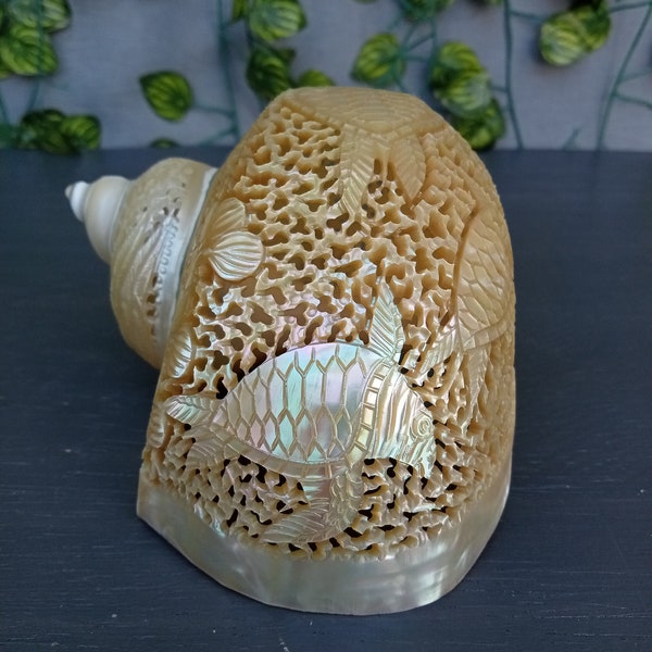 carved pearl turbo conch shell,sea turtle,real and natural seashell,polished and hand carved