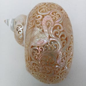 Geschnitzte Perlen-Turbo-Schneckenhaus-Flamingo-Entwurfs-natürliche Muschelkunst