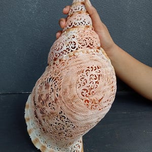 Dragon vs Phoenix: Hand Carved Trumpet Triton Shell Natural Seashell