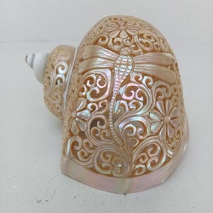 Natural Carved Turbo Conch Shell Dragonfly Designs