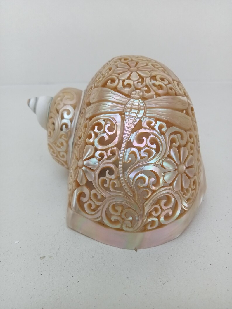 Natural Carved Turbo Conch Shell Dragonfly Designs