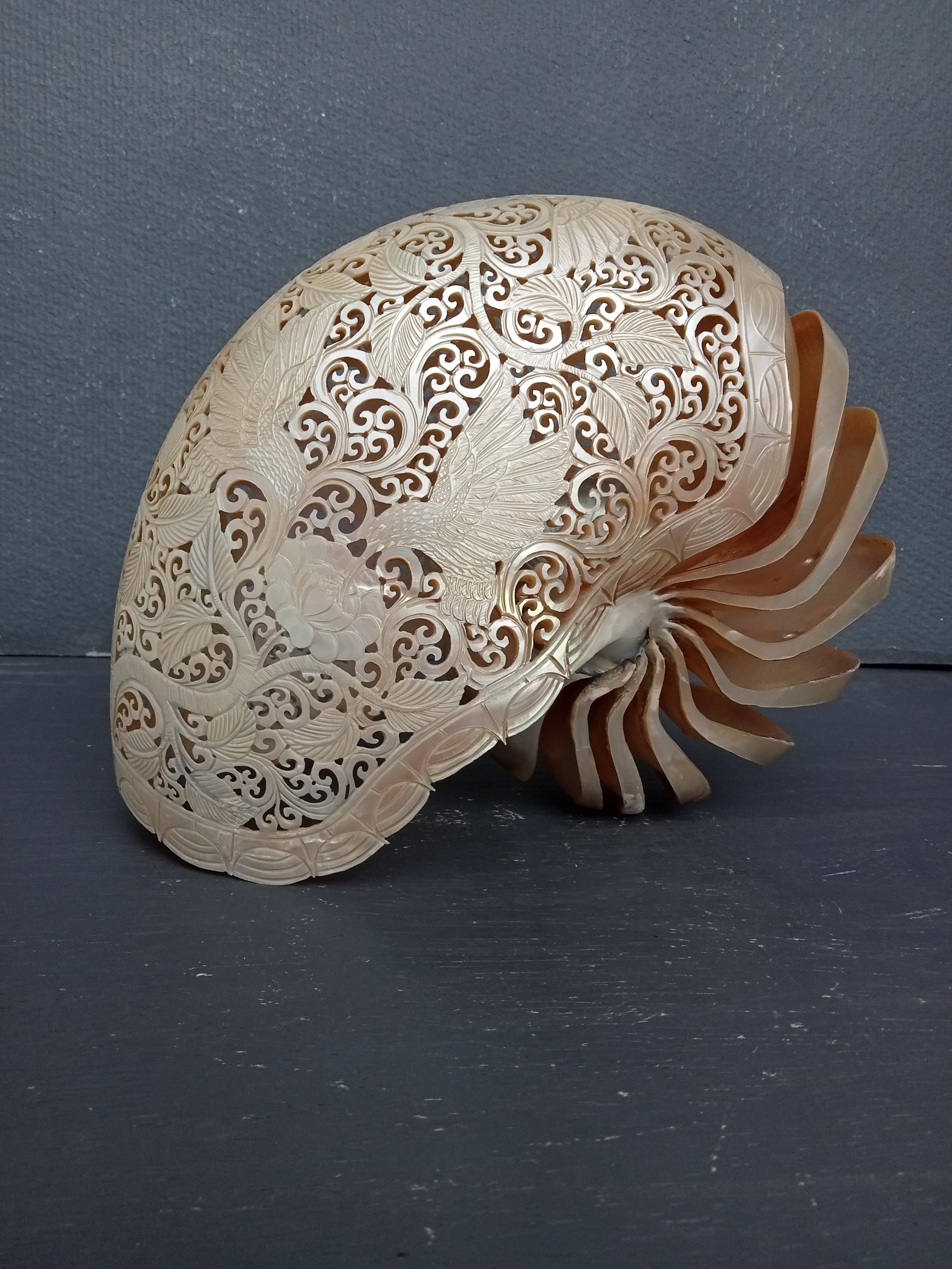 手彫りのオウムガイの殻とハチドリのデザイン天然貝殻 - Etsy 日本