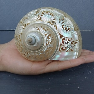 Coquille de perle turbo naturelle sculptée à la main avec motif colibri