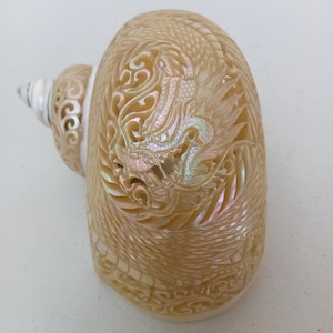 Hand Carved Pearl Turbo Snail Shell Dragon Design Natural Seashell Art