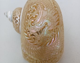 Hand Carved Pearl Turbo Snail Shell Dragon Design Natural Seashell Art